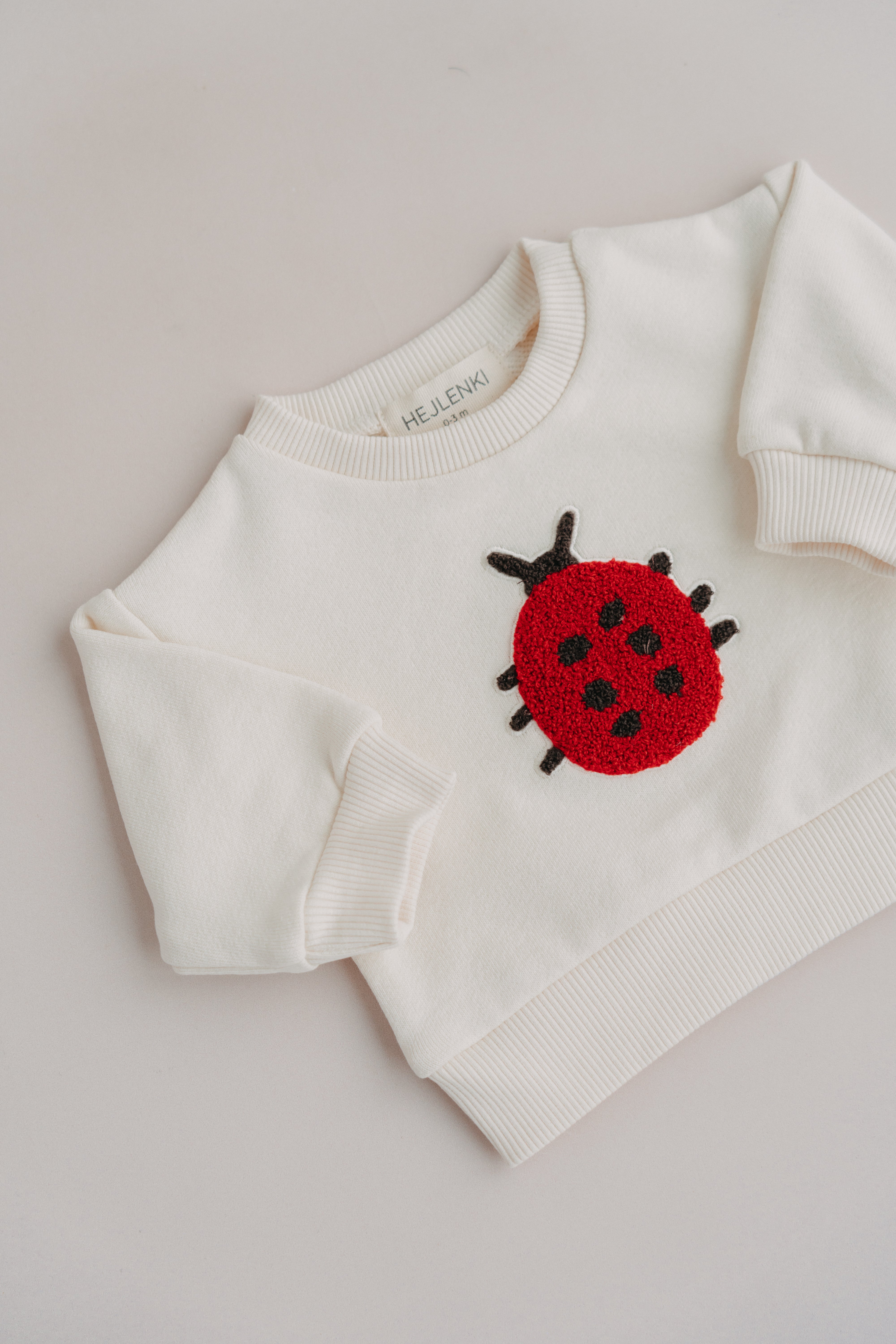 LADYBUG SWEATER