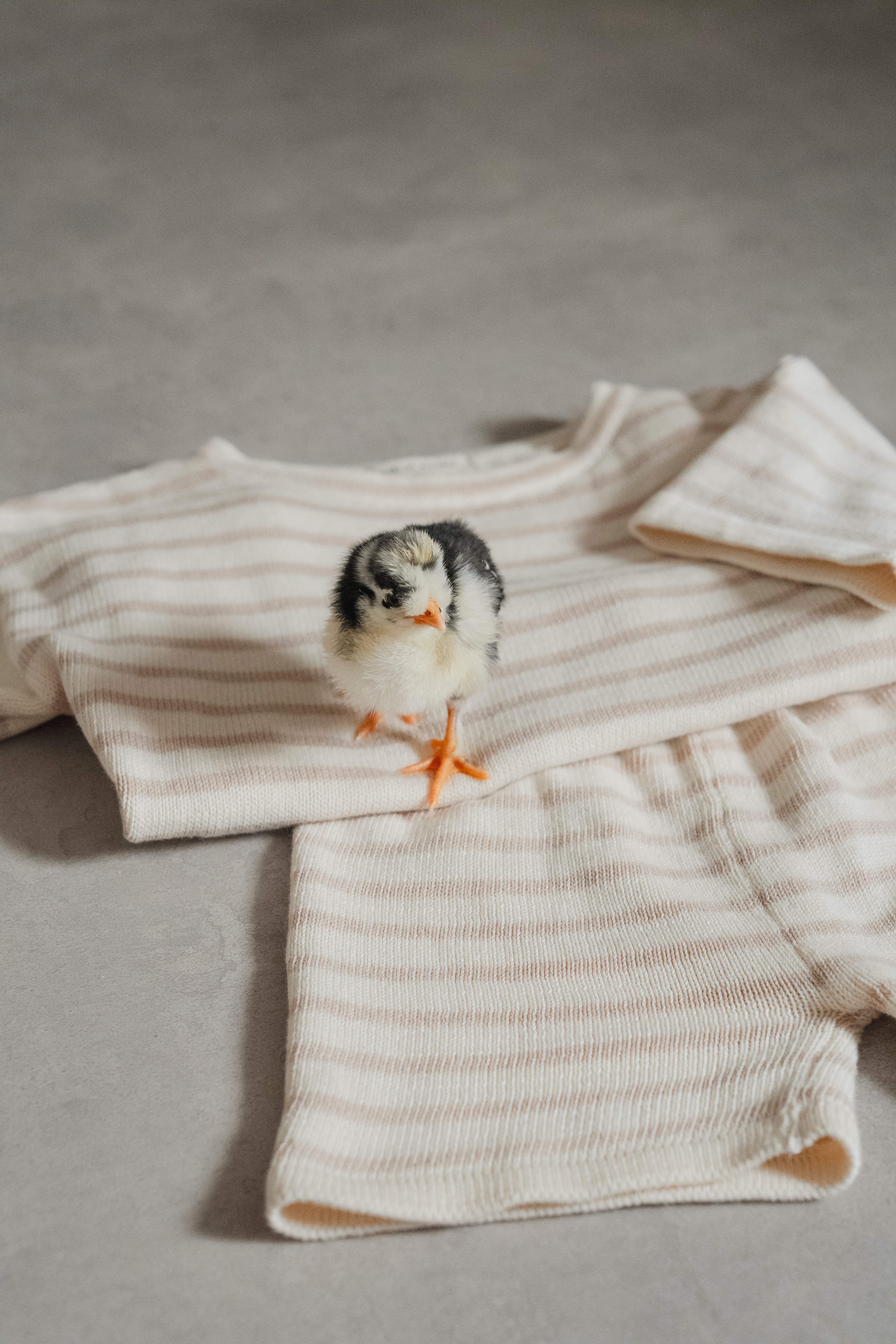 OVERSIZE KNIT SHORTS STRIPED SAND