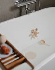 WATER WHEEL BATH TOY