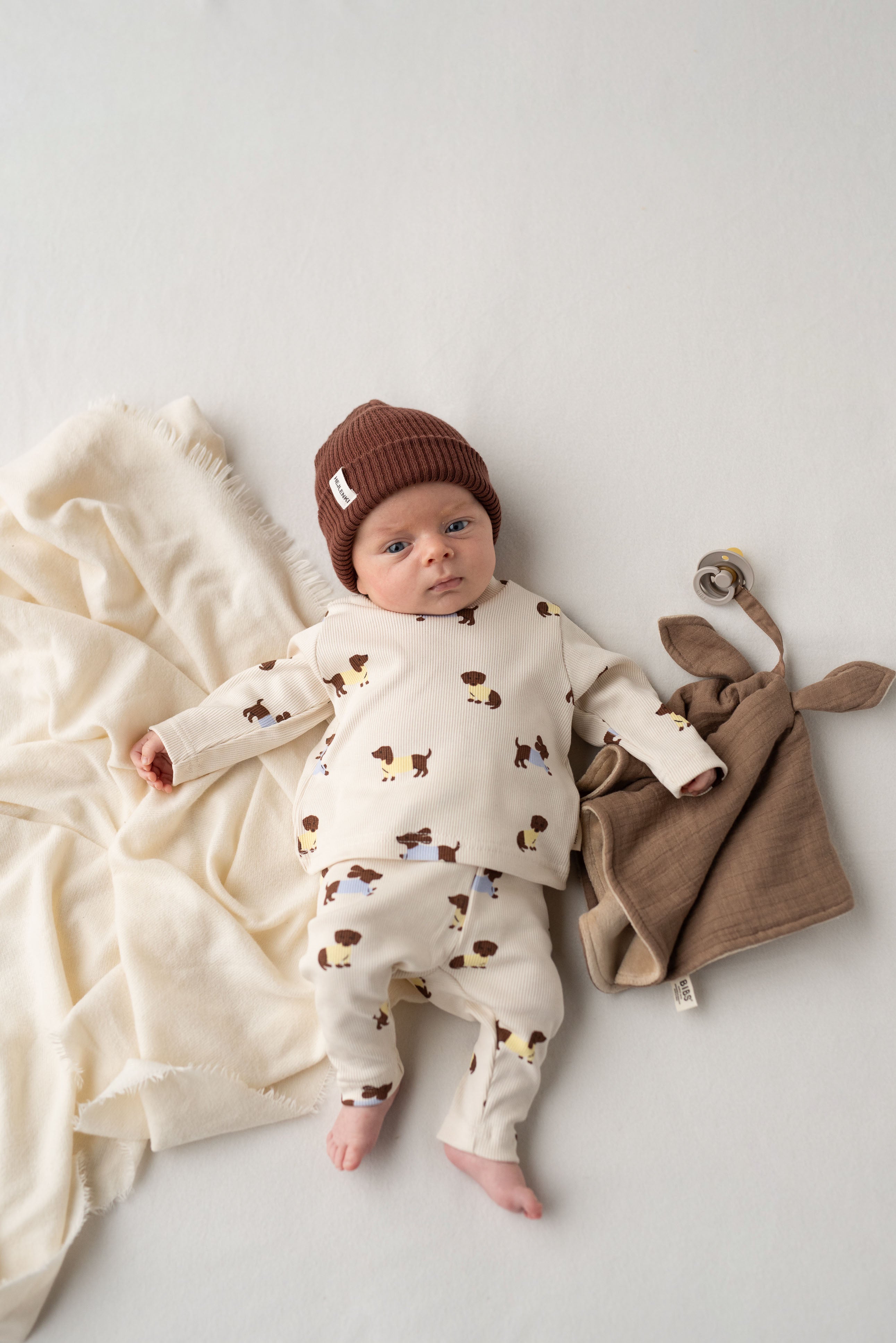 DACHSHUND BASIC BUNDLE