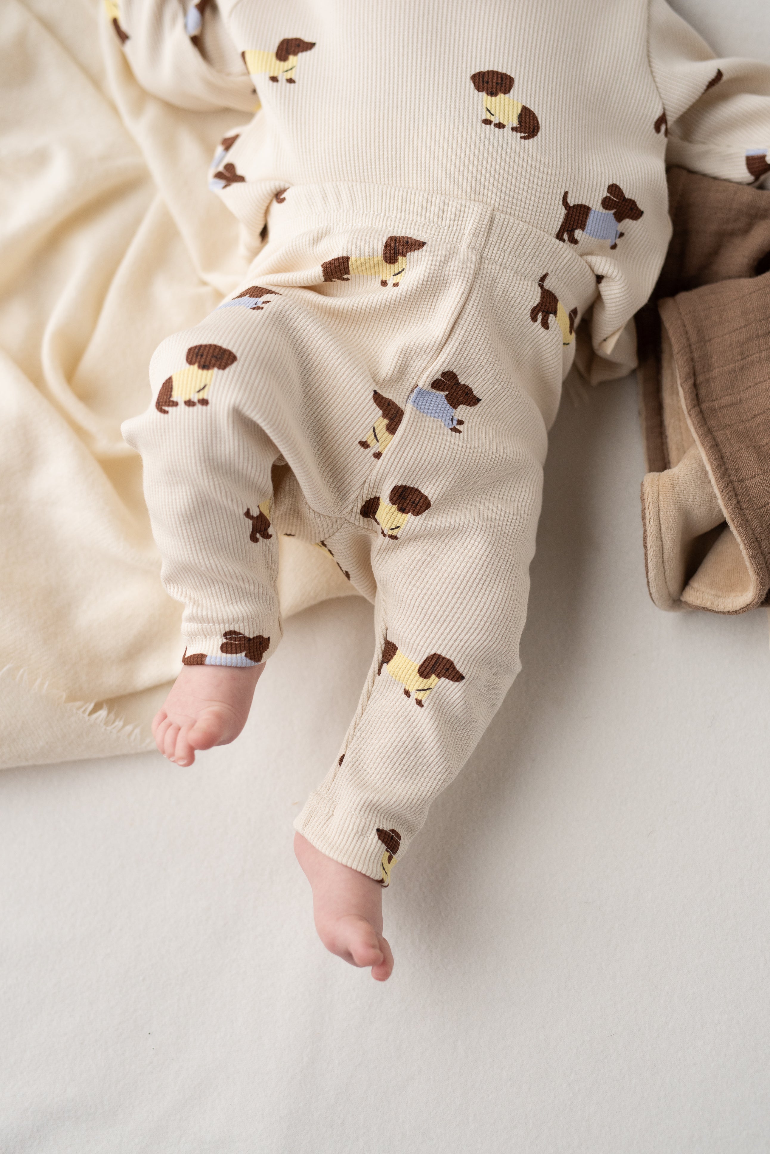 DACHSHUND BASIC BUNDLE