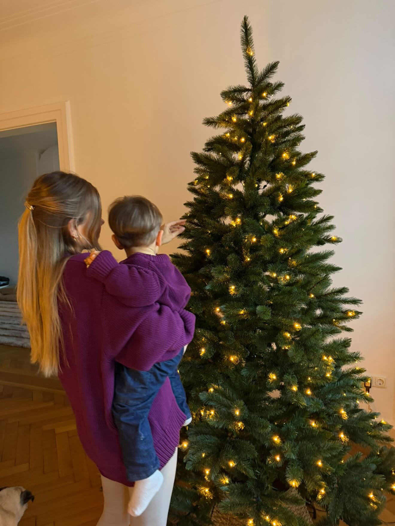 WOMEN CHUNKY KNIT PULLI BERRY GLAZE