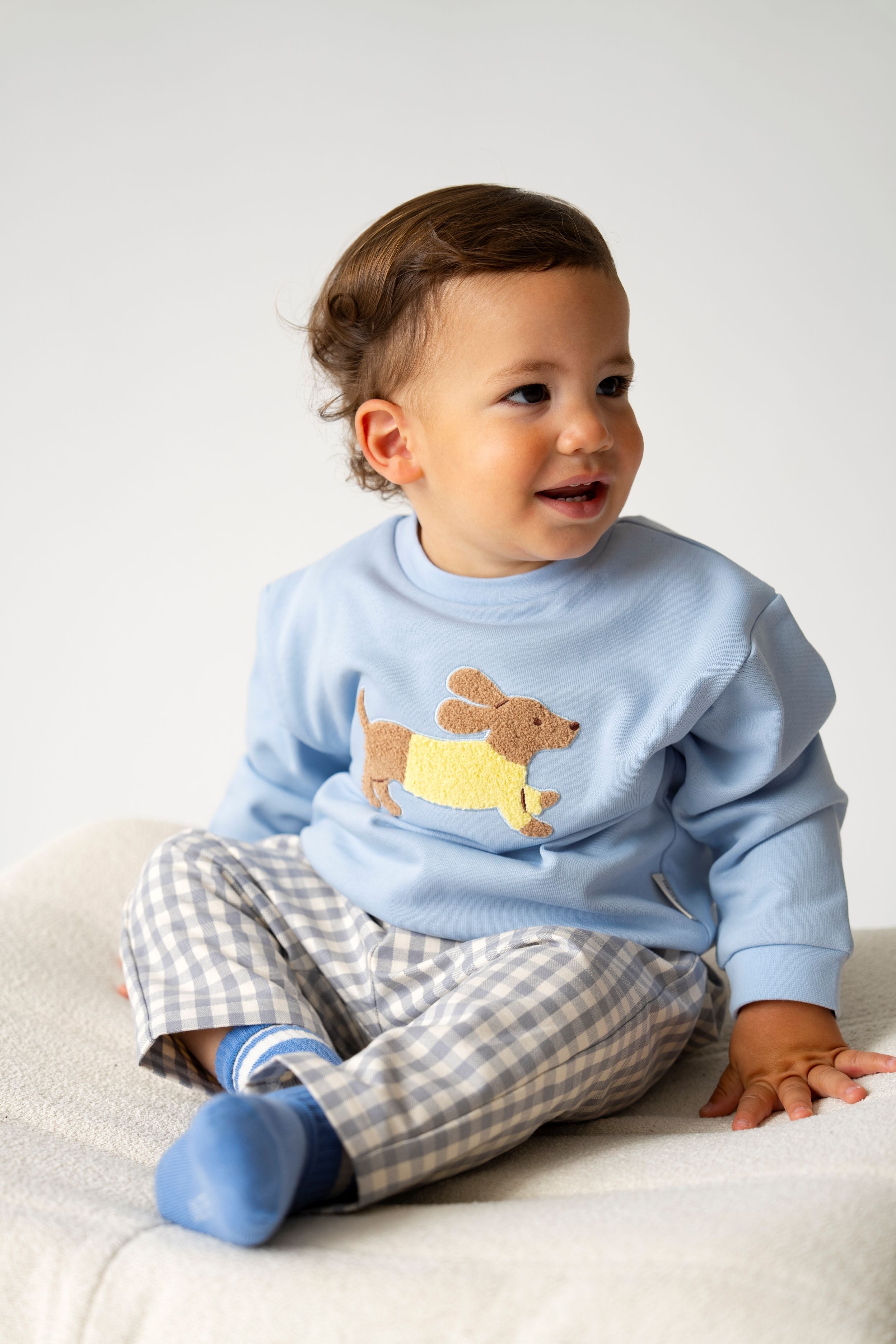 DACHSHUND SWEATER