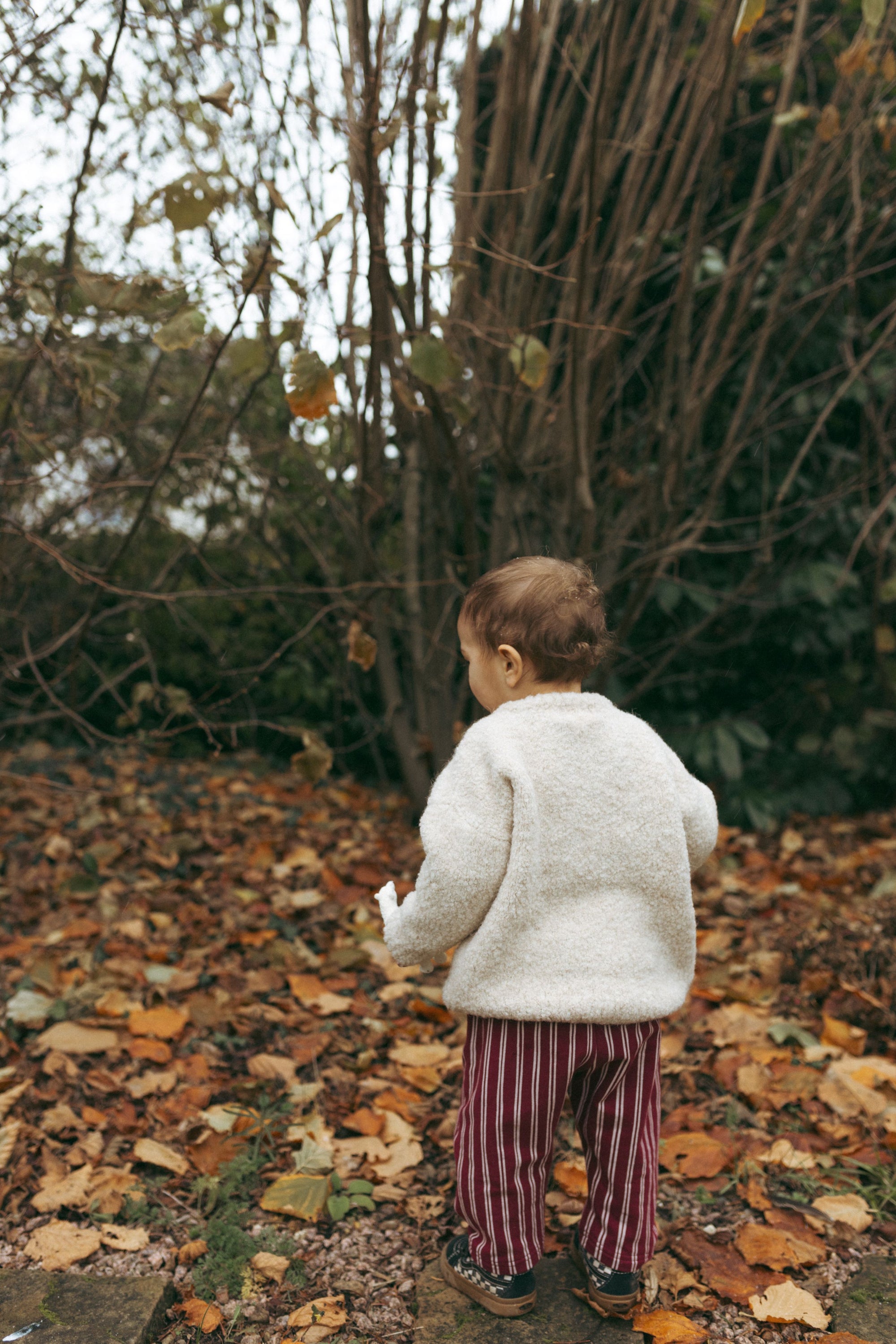 MERINOWOOL ALPACA BLEND TEDDY PULLI